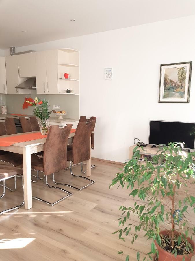 Prenocisca Rusjan Apartment Rence ภายนอก รูปภาพ